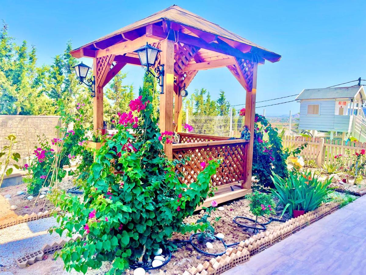 Montainbeach Βίλα San Vicente Raspeig Εξωτερικό φωτογραφία