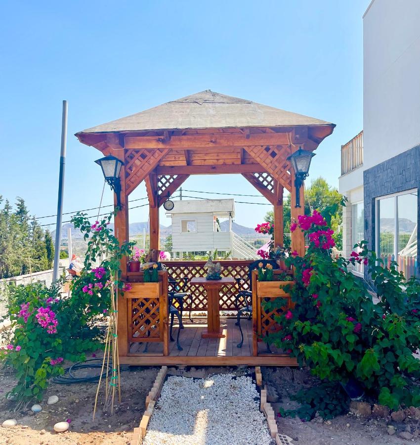 Montainbeach Βίλα San Vicente Raspeig Εξωτερικό φωτογραφία